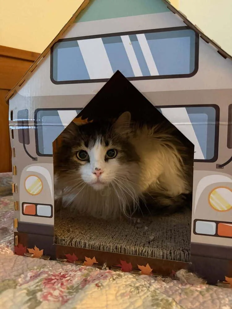 Katherine thumbnail 5