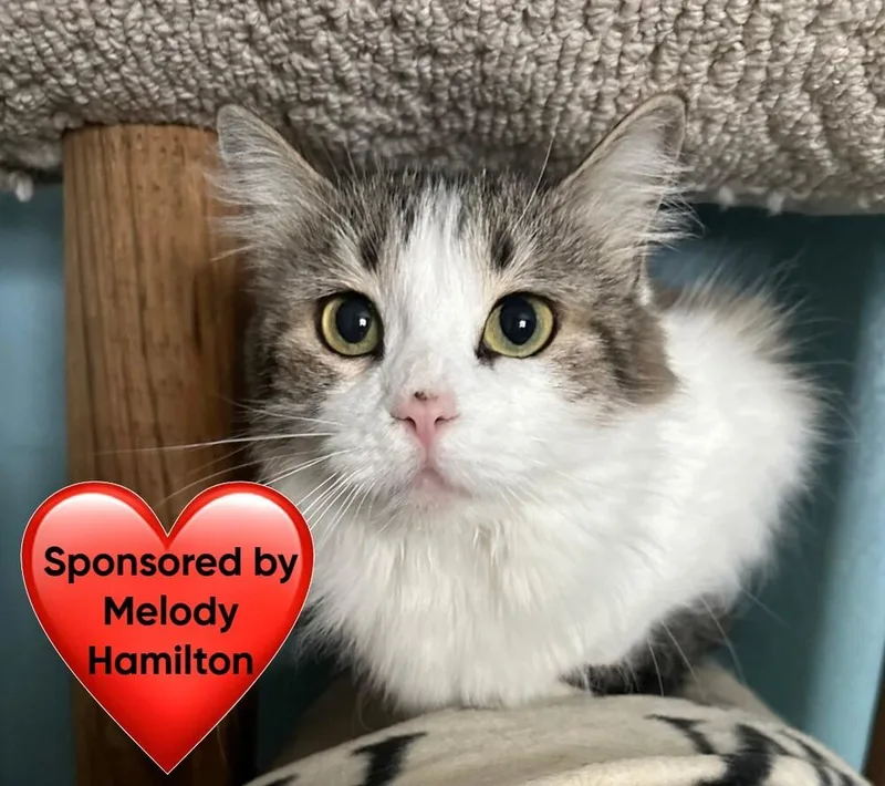 Katherine thumbnail 6