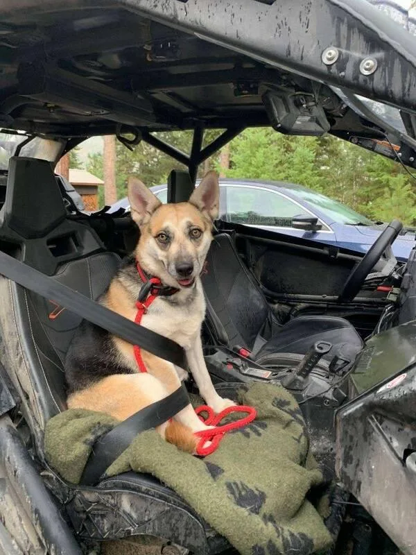 Merci  Courtesy Listing