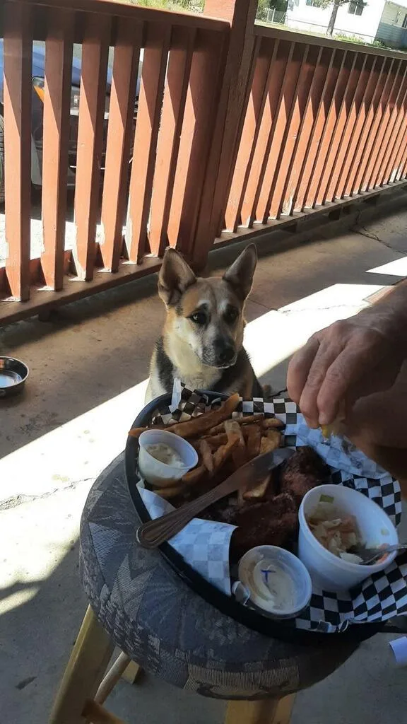 Merci  Courtesy Listing thumbnail 3