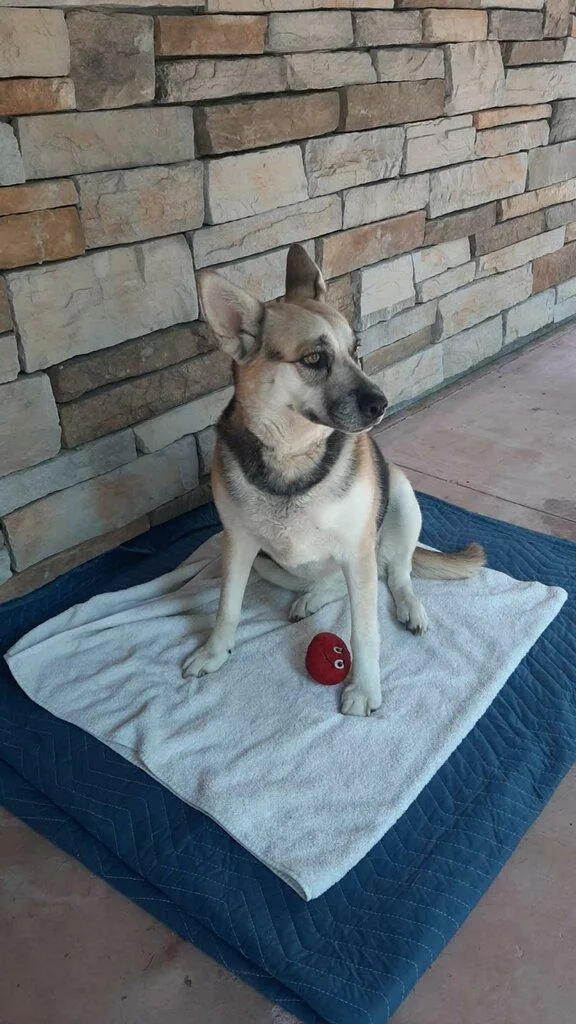 Merci  Courtesy Listing thumbnail 4