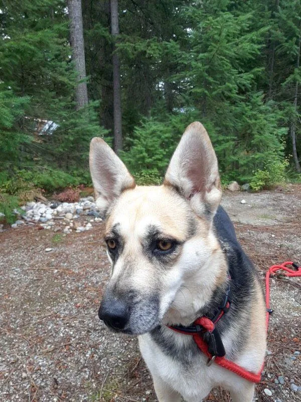 Merci  Courtesy Listing thumbnail 5