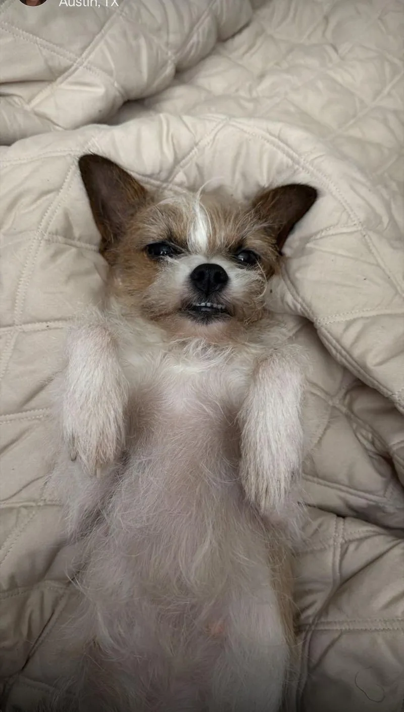 Pixie