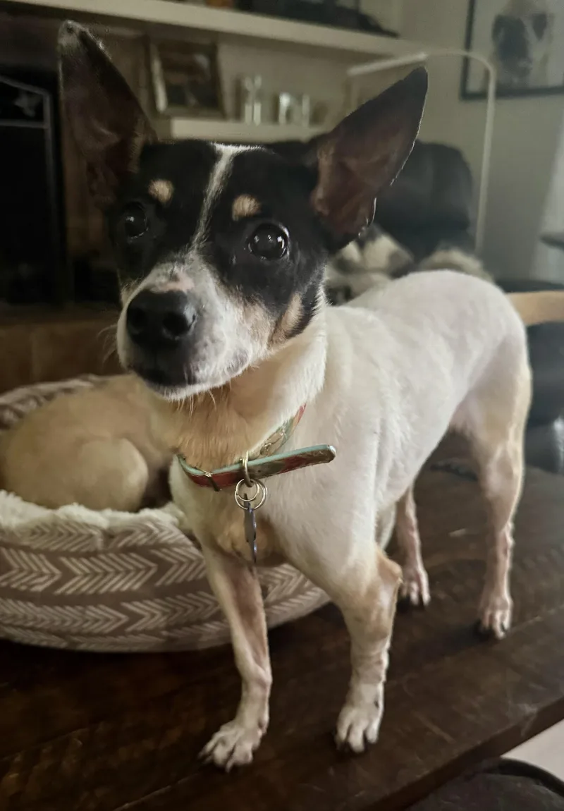 Greta