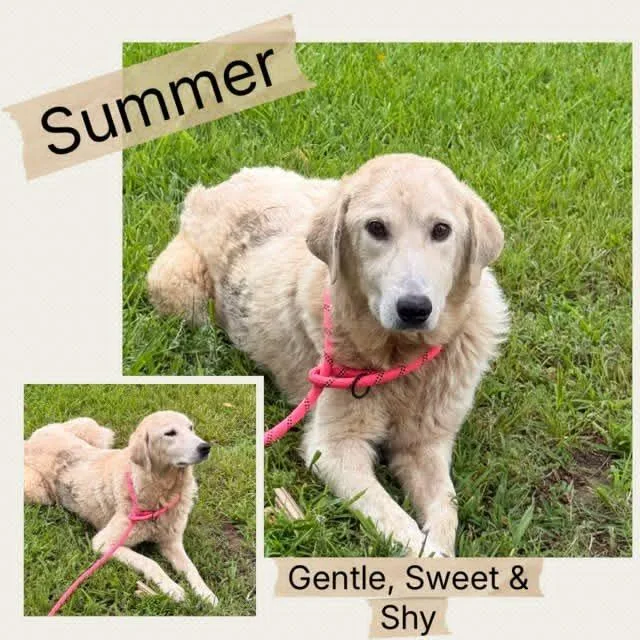 CT Summer thumbnail 3