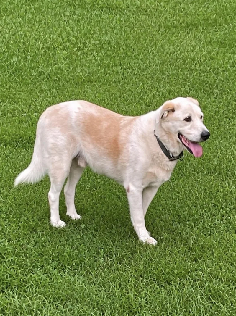 Ben