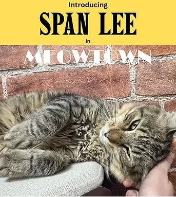 Span Lee thumbnail 3