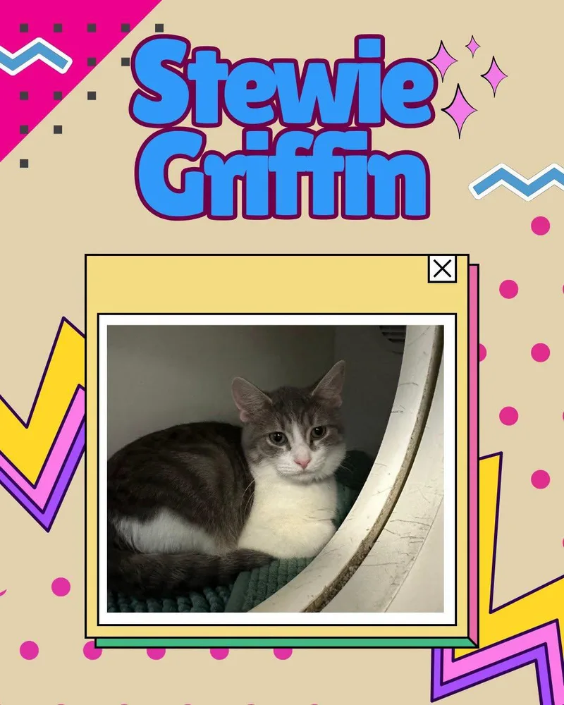 Stewie Griffin