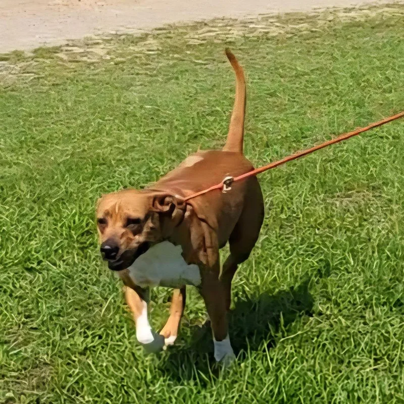 Mama Lilly thumbnail 3