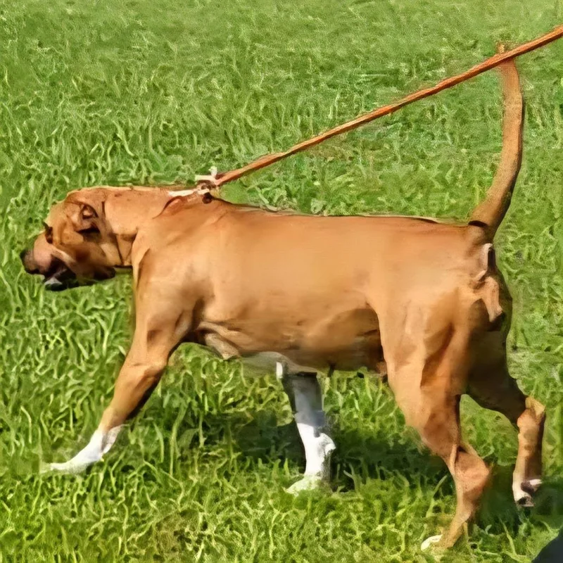 Mama Lilly thumbnail 4