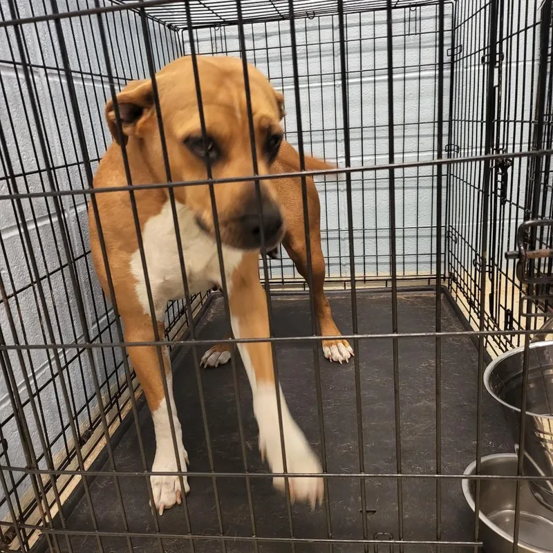 Mama Lilly thumbnail 5