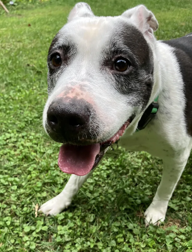 Bettycourtesy Listing thumbnail 4