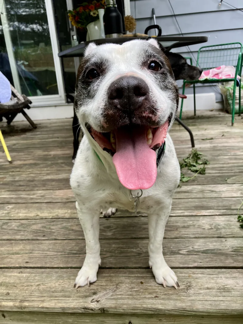 Bettycourtesy Listing thumbnail 6