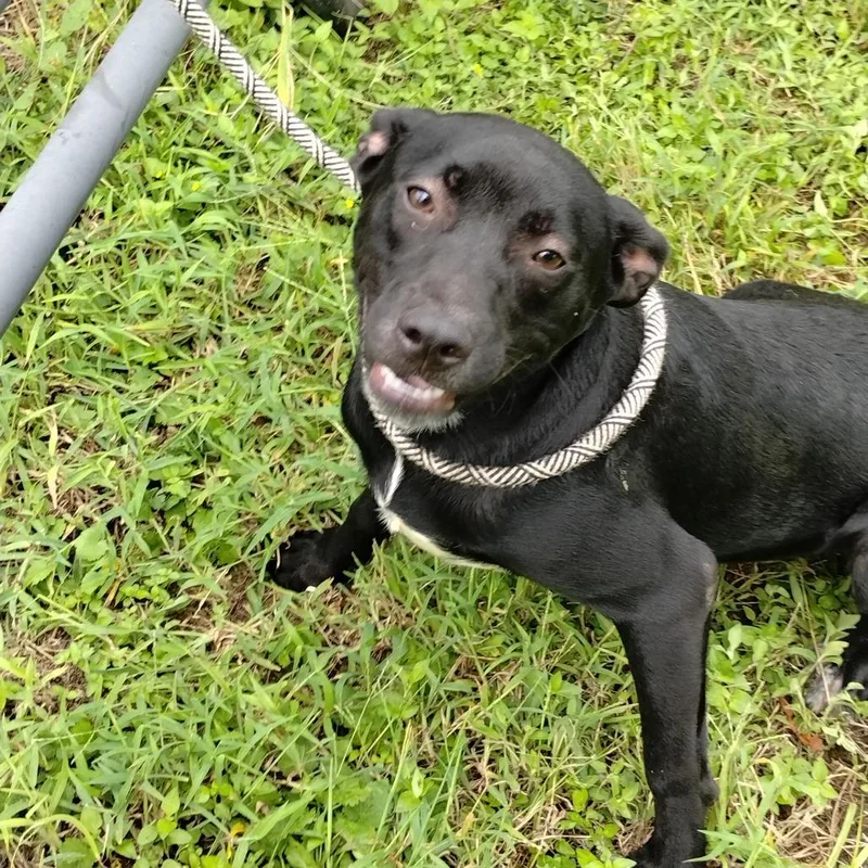 Demetri P thumbnail 2