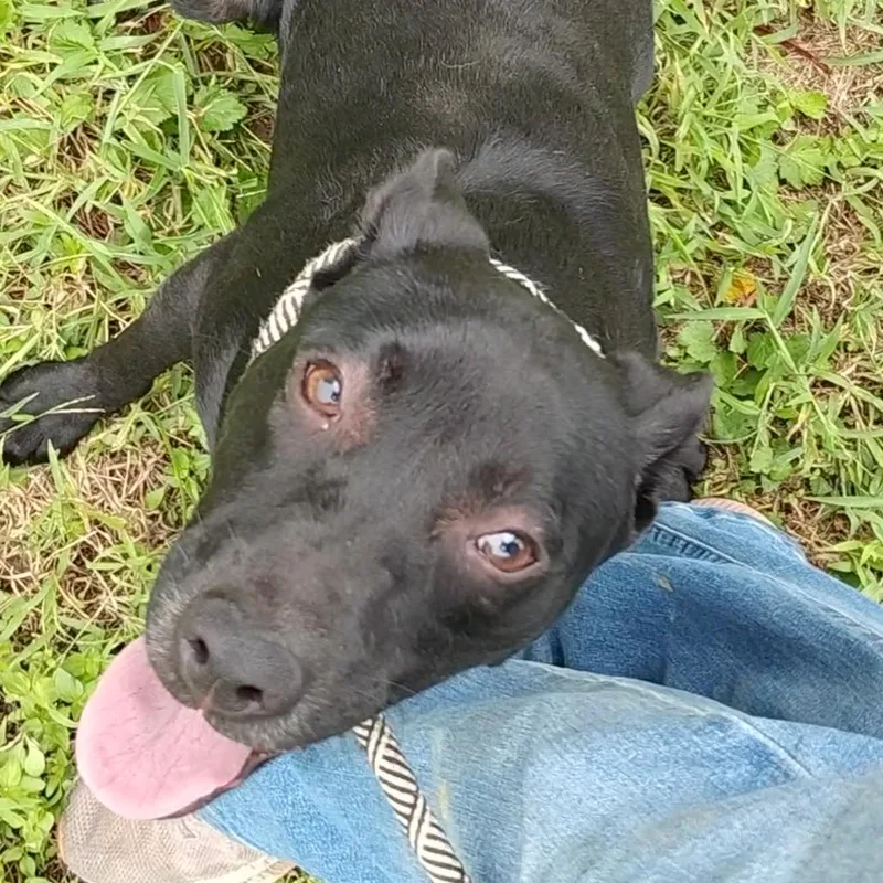 Demetri P thumbnail 3