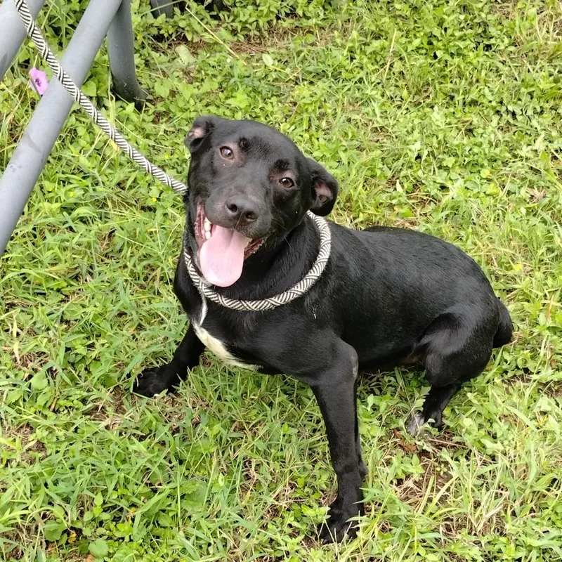 Demetri P thumbnail 4