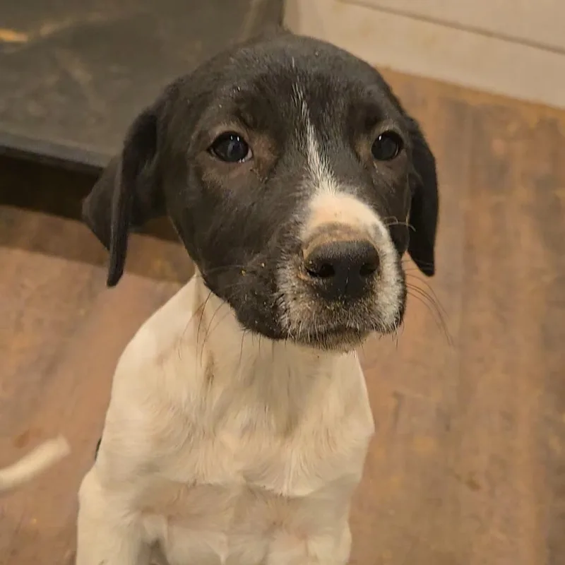 Dr. Pepper thumbnail 2