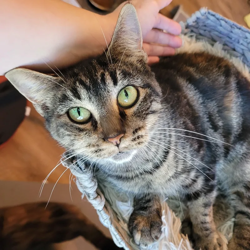 Meeps thumbnail 2