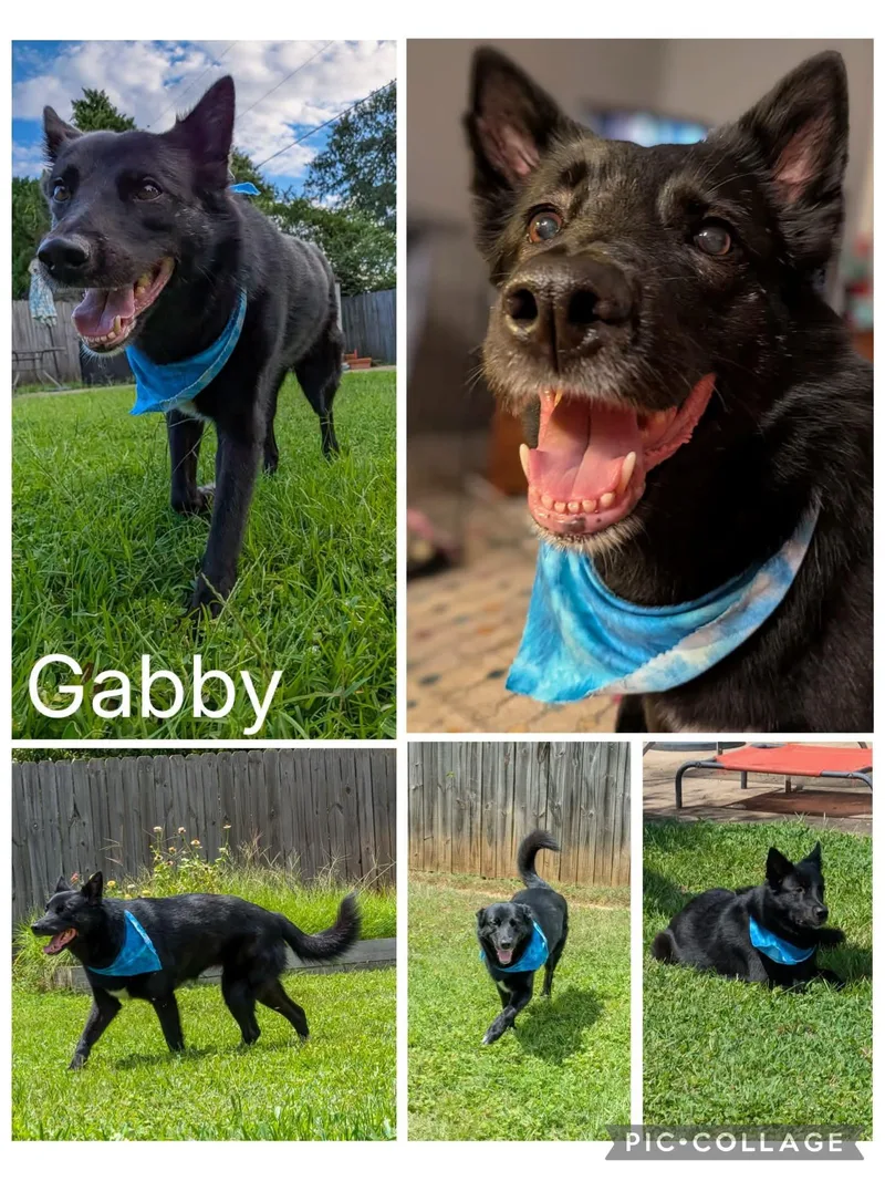 Gabby
