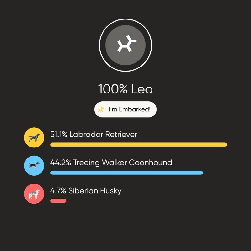 A senior large-sized male Black Labrador Retriever dog named Leo for adoption in Davenport, IA