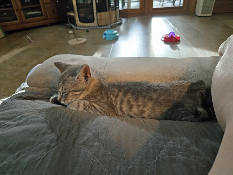 Greenlee thumbnail 3