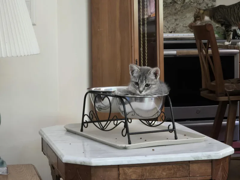 Greenlee thumbnail 4