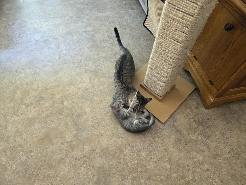 Greenlee thumbnail 5