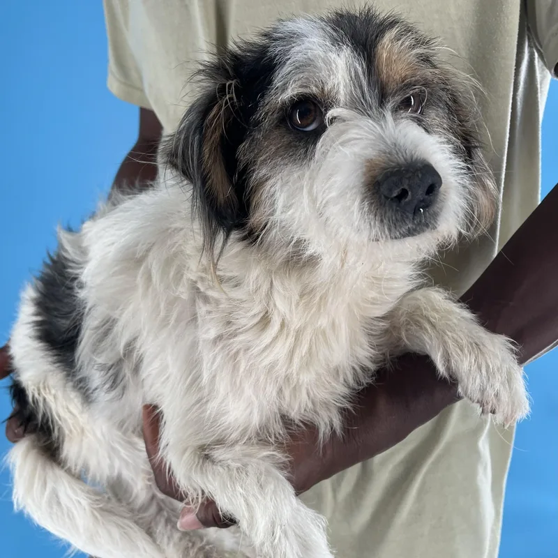 Tuck  Local April thumbnail 2