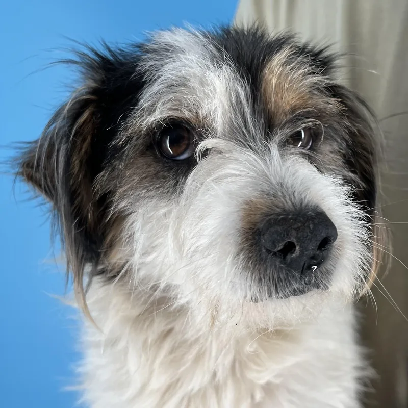 Tuck  Local April thumbnail 5