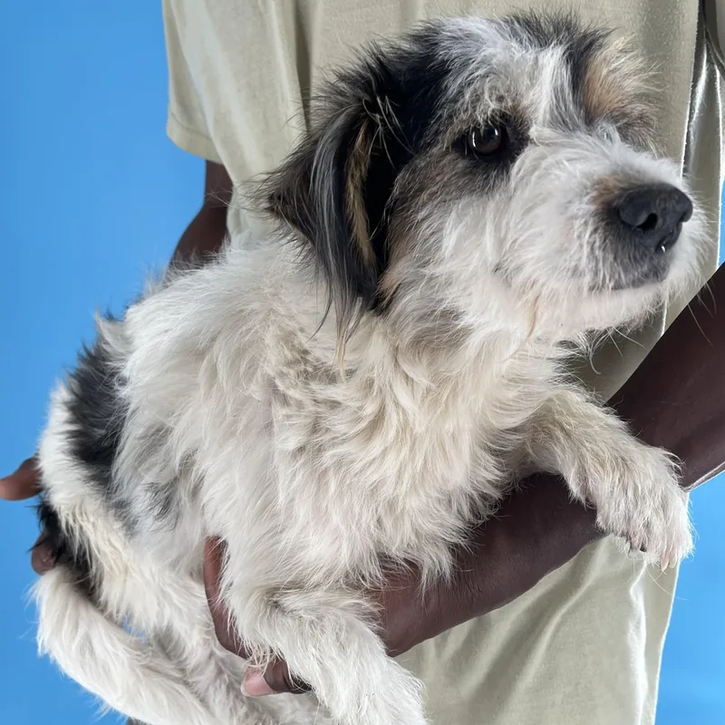 Tuck  Local April thumbnail 6