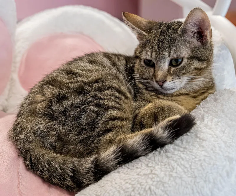 Avery  Kbc thumbnail 2