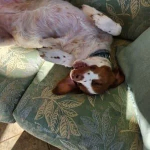 Gabby    thumbnail 2