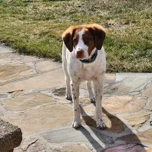 Gabby    thumbnail 3