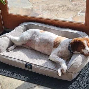 Gabby    thumbnail 4