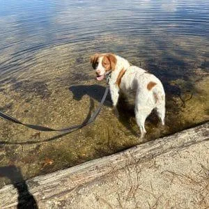 Gabby    thumbnail 5