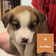 Ali thumbnail 4