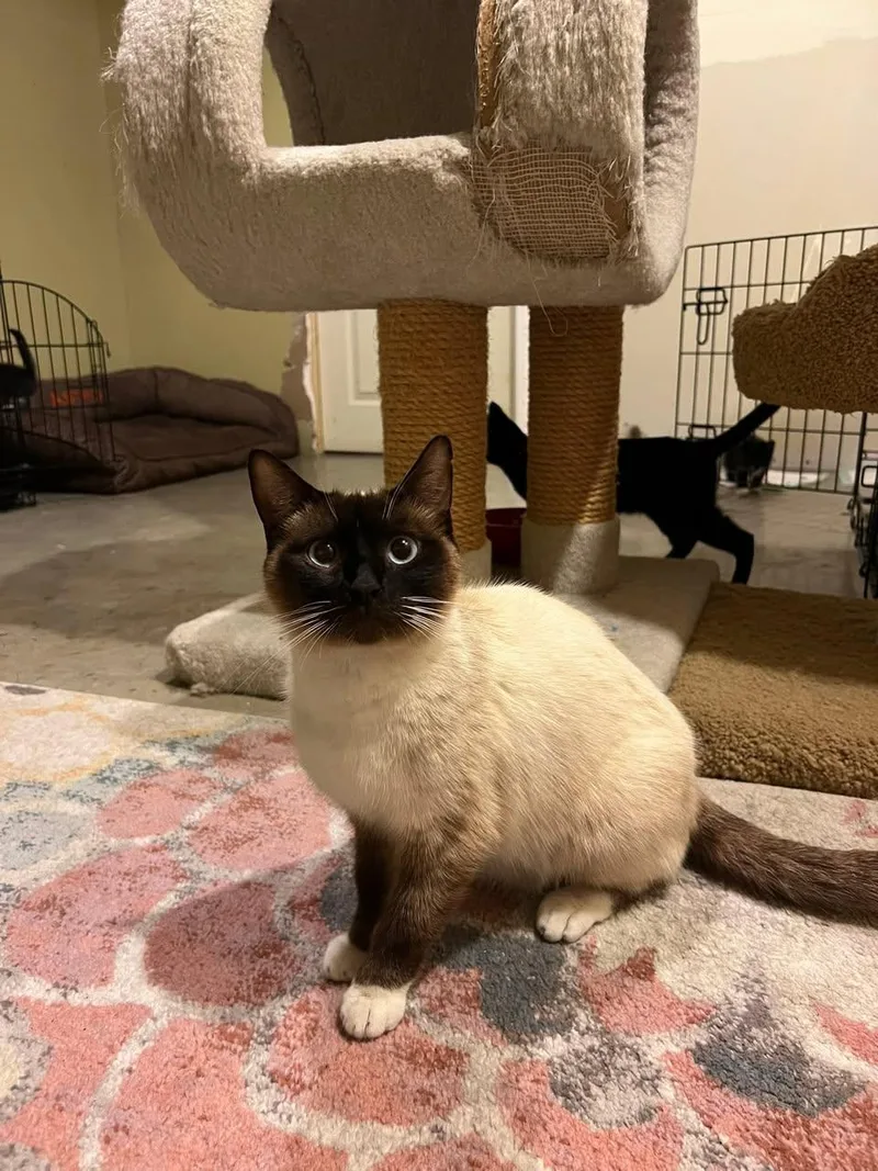 Sammy