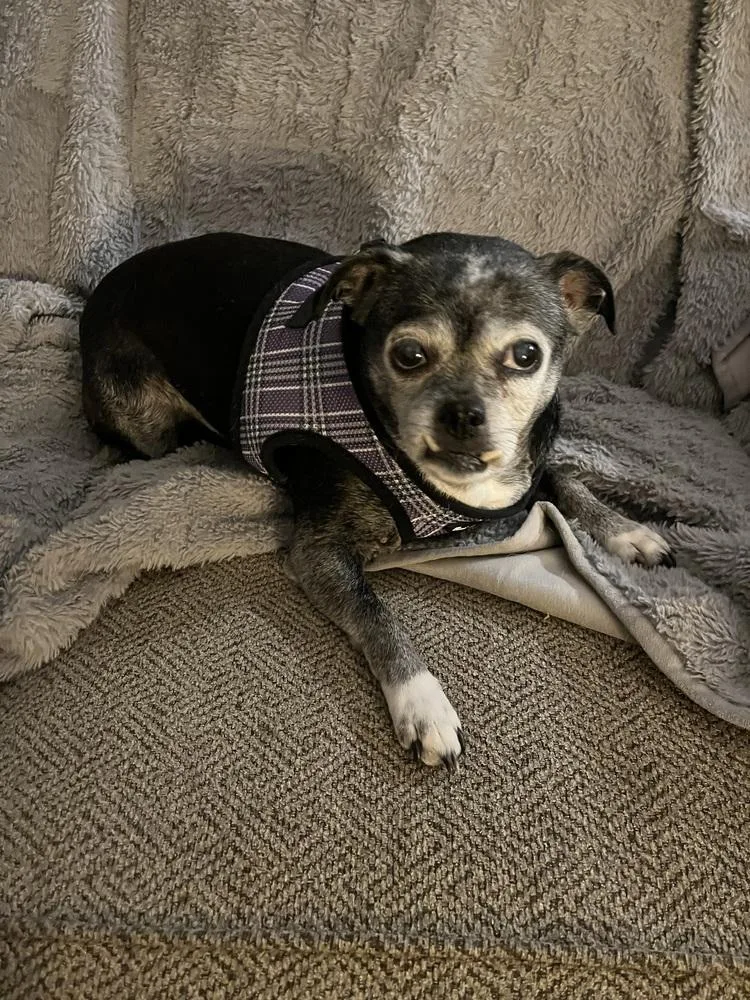 Sally I Am thumbnail 2