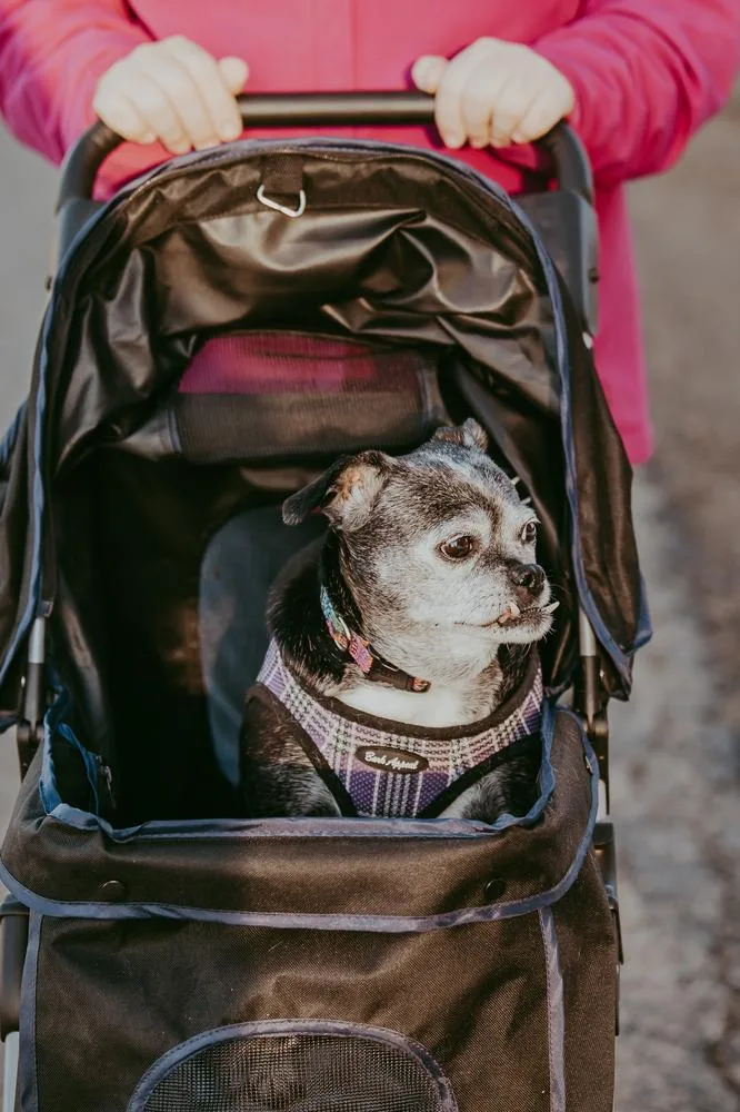 Sally I Am thumbnail 6