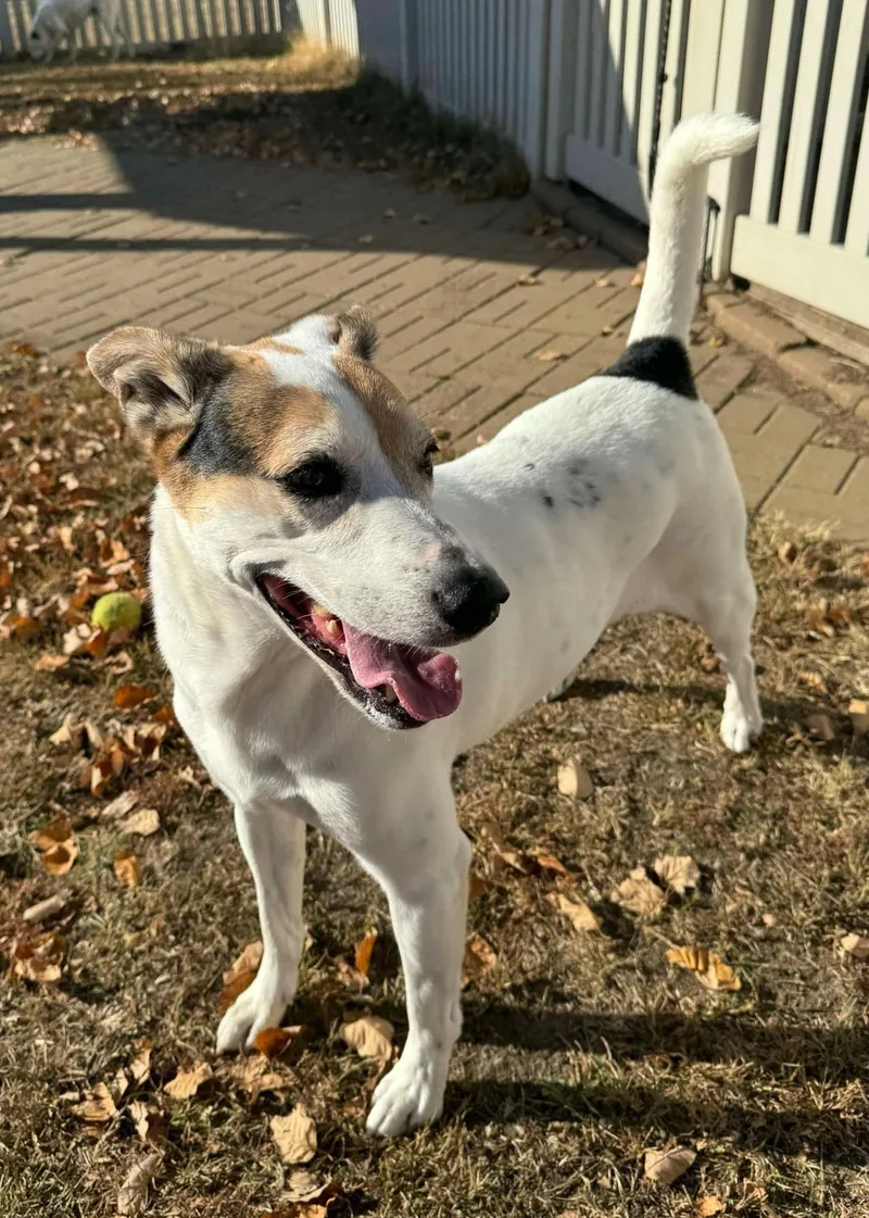 Jane Russell thumbnail 2