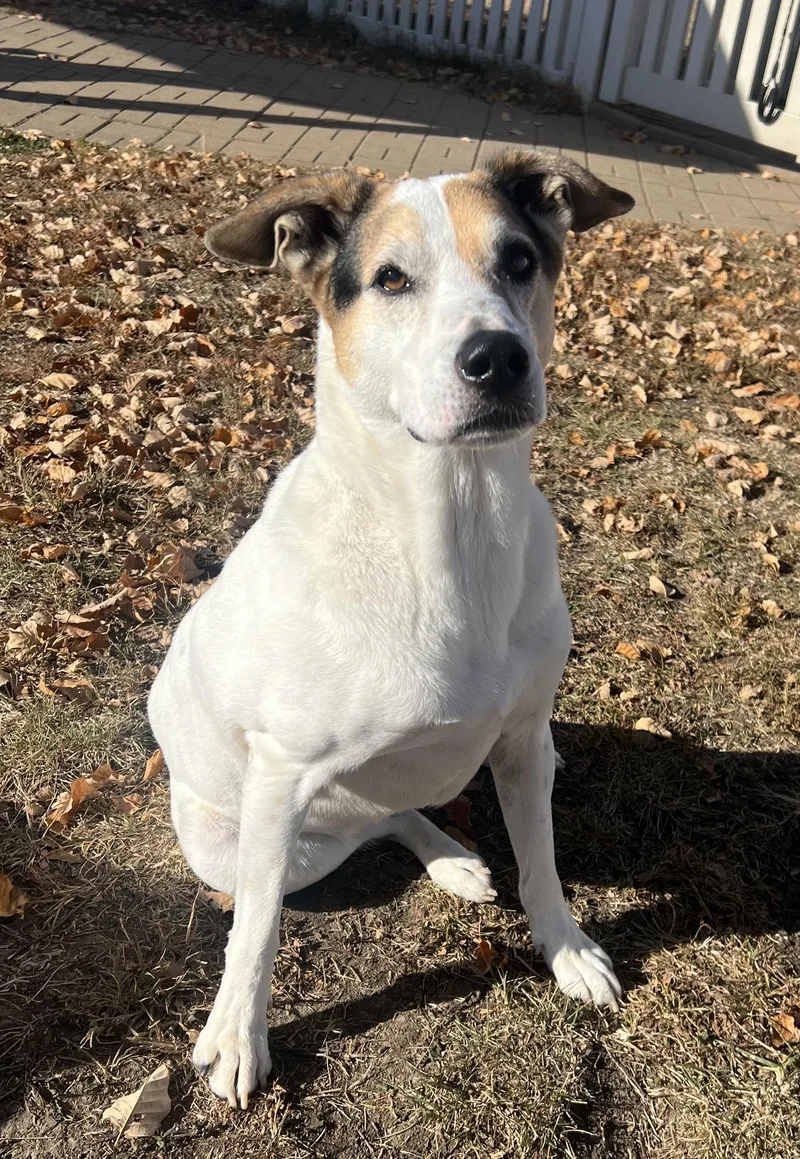 Jane Russell thumbnail 3