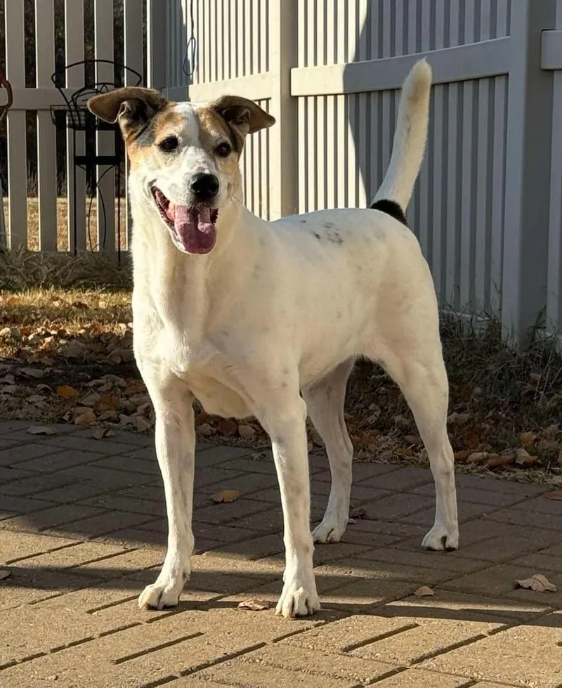 Jane Russell thumbnail 4