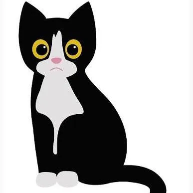 An adult large-sized male Black Domestic Short Hair cat named Sushi Roll for adoption in West Olive, MI