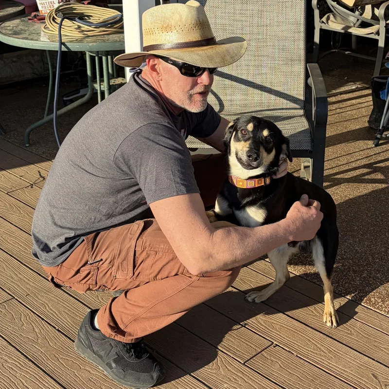 A young medium-sized male Black Hound dog named Teddy for adoption in West Grove, PA