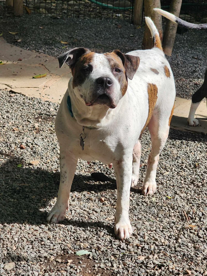 Gracie Ann  Video thumbnail 2