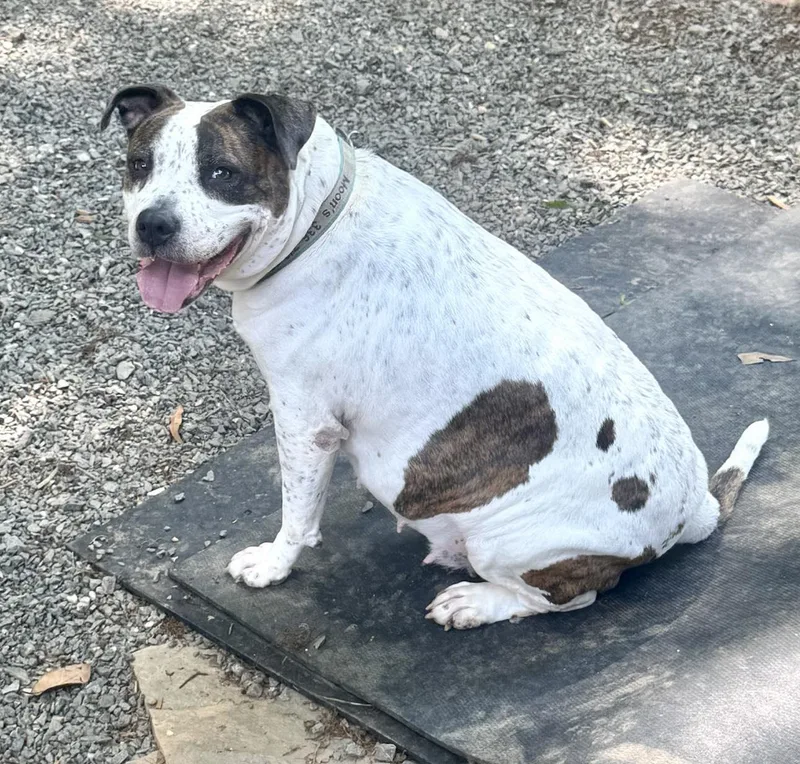 Gracie Ann  Video thumbnail 3