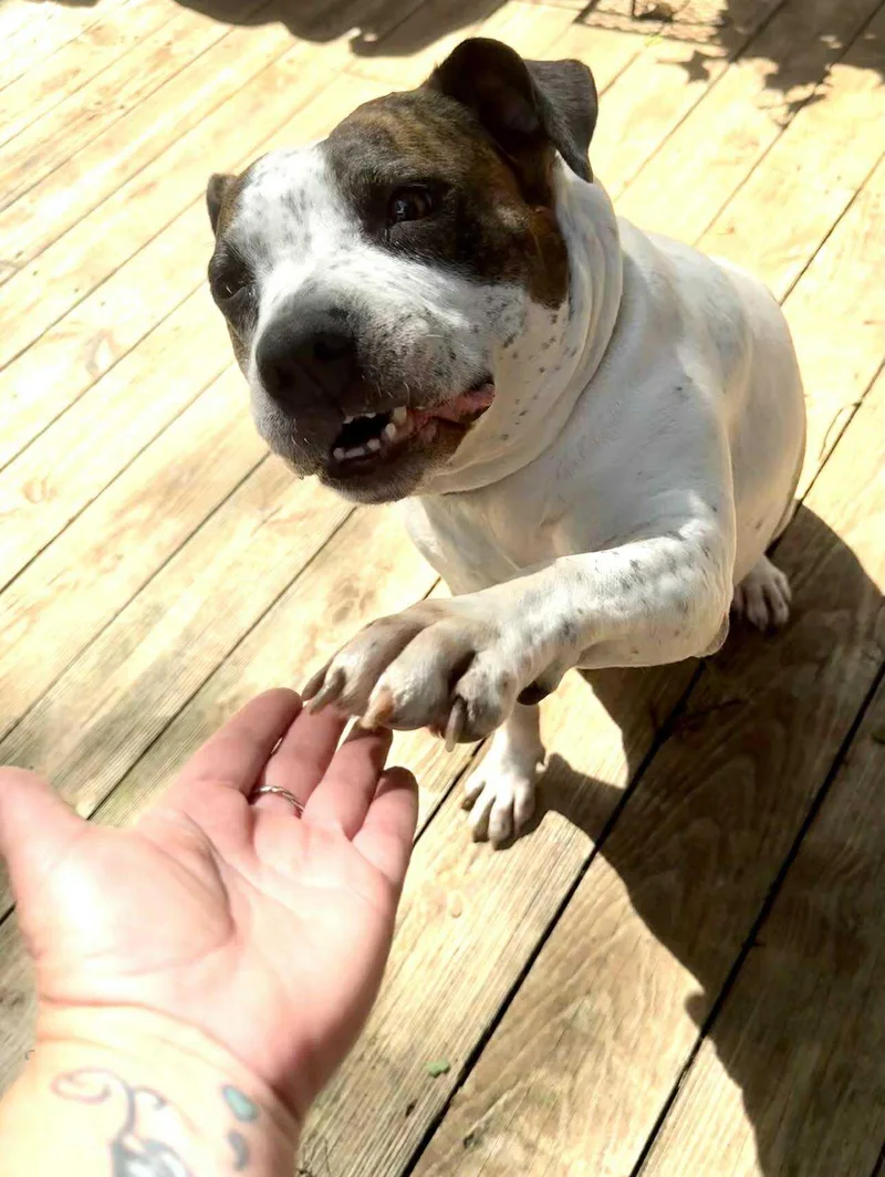 Gracie Ann  Video thumbnail 4