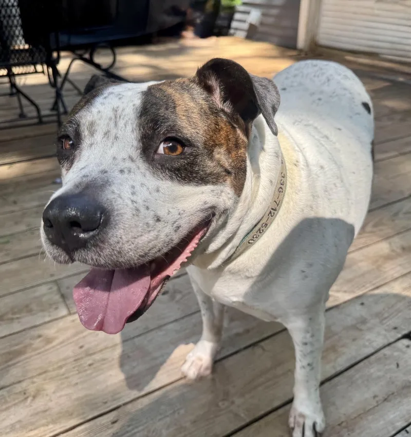 Gracie Ann  Video thumbnail 5