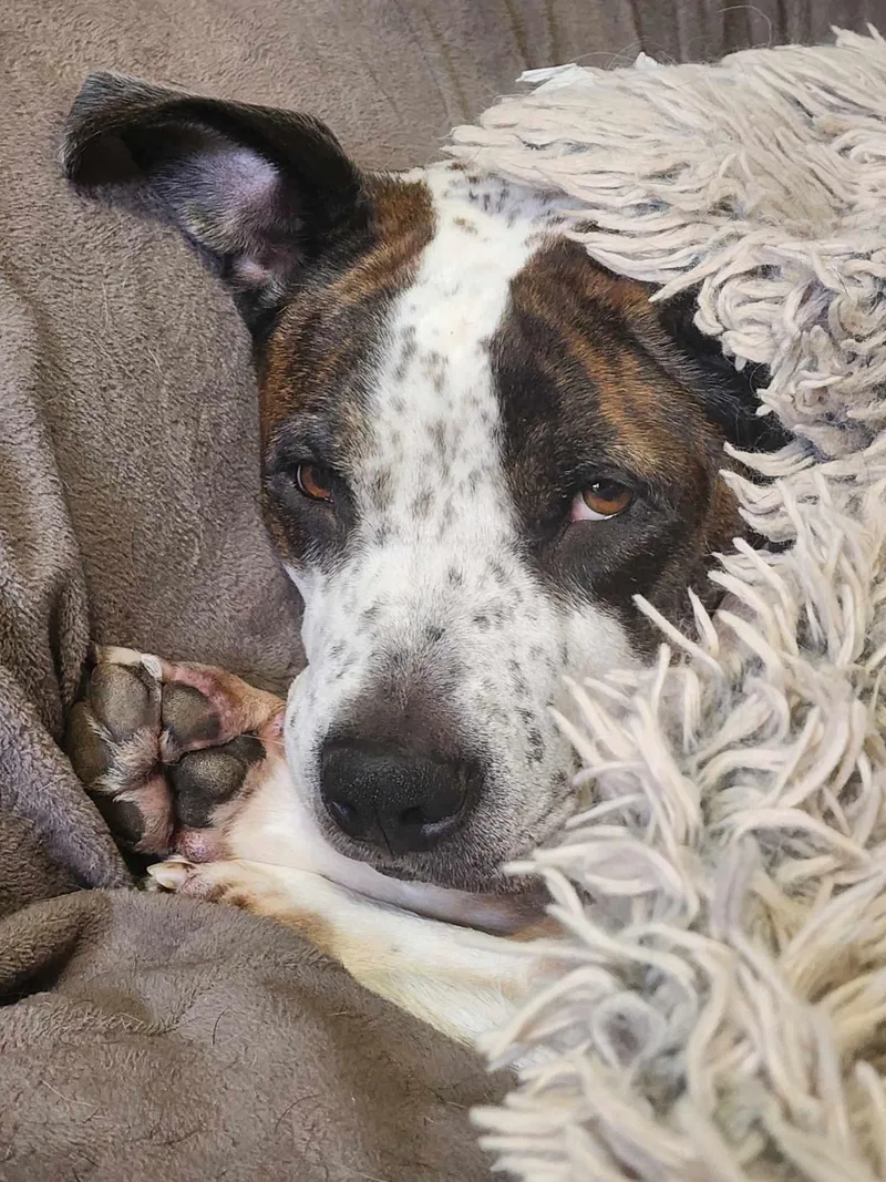 Gracie Ann  Video thumbnail 6