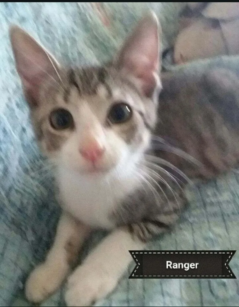 Ranger